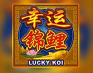 Lucky Koi